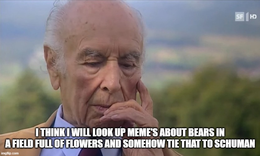 -Philosize about chemical harm | I THINK I WILL LOOK UP MEME'S ABOUT BEARS IN A FIELD FULL OF FLOWERS AND SOMEHOW TIE THAT TO SCHUMAN | image tagged in -philosize about chemical harm | made w/ Imgflip meme maker