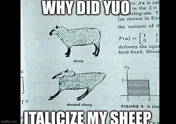 why | image tagged in random,meme,sheep | made w/ Imgflip meme maker