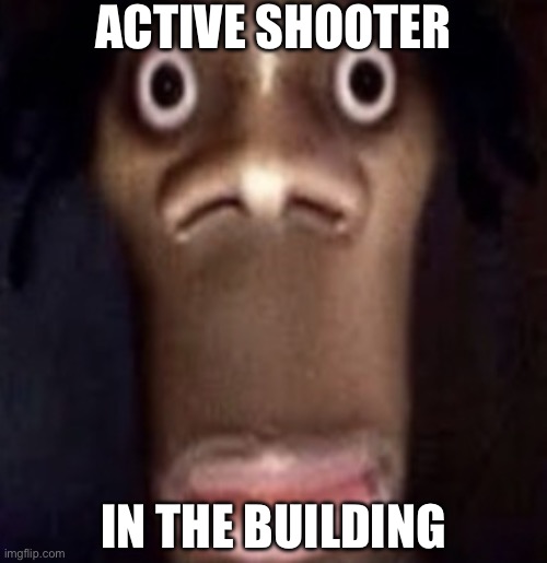 ? | ACTIVE SHOOTER; IN THE BUILDING | image tagged in quandale dingle | made w/ Imgflip meme maker