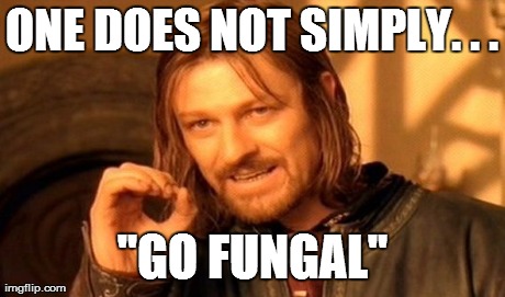 One Does Not Simply | ONE DOES NOT SIMPLY. . . "GO FUNGAL" | image tagged in memes,one does not simply | made w/ Imgflip meme maker