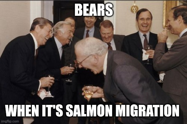 Salmon migration | BEARS; WHEN IT'S SALMON MIGRATION | image tagged in memes,laughing men in suits | made w/ Imgflip meme maker