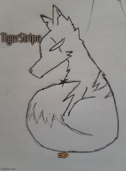 TigerStripe (request for Fin-Weirdo ) | TigerStripe; => | image tagged in tigerstripe | made w/ Imgflip meme maker