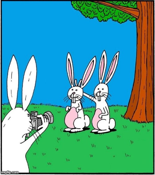 Bunny Ears | image tagged in bunny ears,comics | made w/ Imgflip meme maker