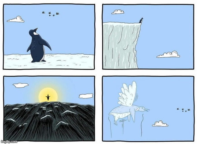 Penguins Can Fly | image tagged in comics | made w/ Imgflip meme maker