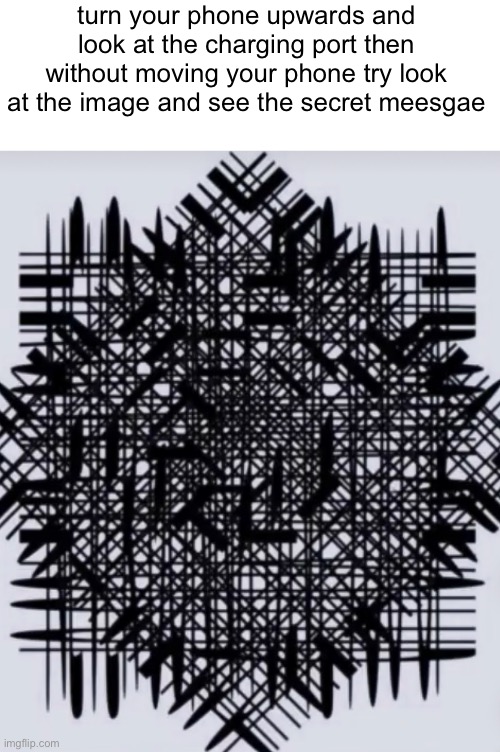 ? | turn your phone upwards and look at the charging port then without moving your phone try look at the image and see the secret meesgae | image tagged in not a rickroll | made w/ Imgflip meme maker