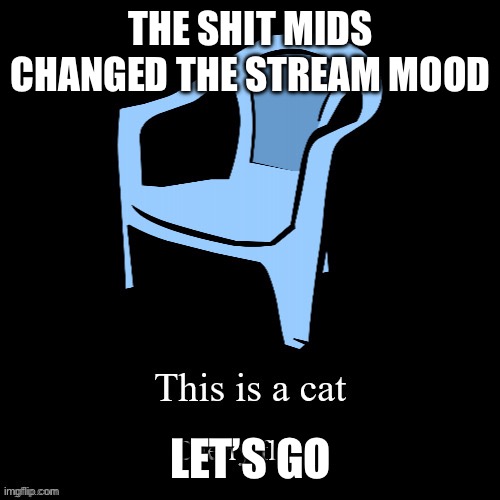 This is a cat | THE SHIT MIDS CHANGED THE STREAM MOOD; LET’S GO | image tagged in this is a cat | made w/ Imgflip meme maker