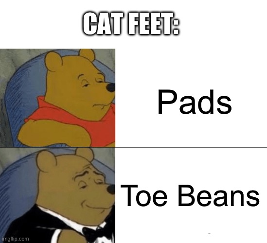 Tuxedo Winnie The Pooh Meme | CAT FEET:; Pads; Toe Beans | image tagged in memes,tuxedo winnie the pooh | made w/ Imgflip meme maker