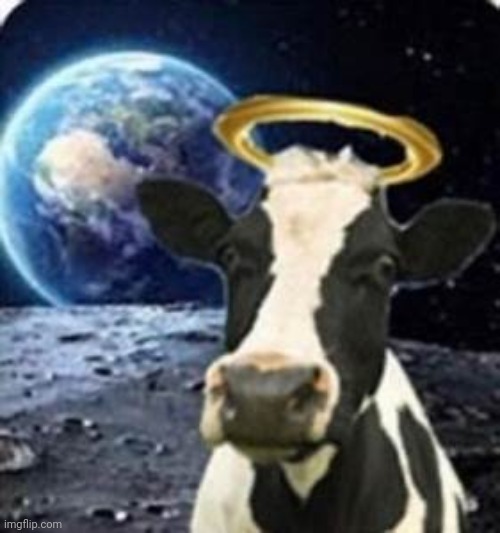holy cow that's out of this world | image tagged in holy cow that's out of this world | made w/ Imgflip meme maker