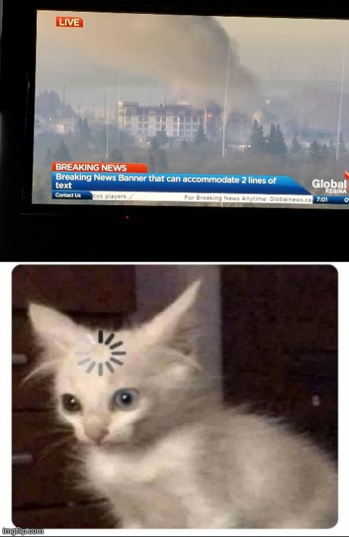 Breaking News | image tagged in buffering cat,tv,breaking news,news,you had one job,memes | made w/ Imgflip meme maker