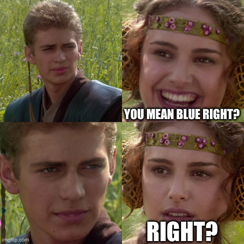 Anakin Padme 4 Panel | YOU MEAN BLUE RIGHT? RIGHT? | image tagged in anakin padme 4 panel | made w/ Imgflip meme maker