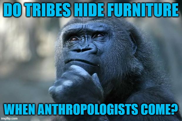 Deep Thoughts | DO TRIBES HIDE FURNITURE; WHEN ANTHROPOLOGISTS COME? | image tagged in deep thoughts | made w/ Imgflip meme maker