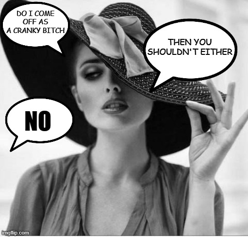 Classy Lady | DO I COME OFF AS A CRANKY BITCH; THEN YOU SHOULDN'T EITHER; NO | image tagged in classy lady,memes,funny memes | made w/ Imgflip meme maker