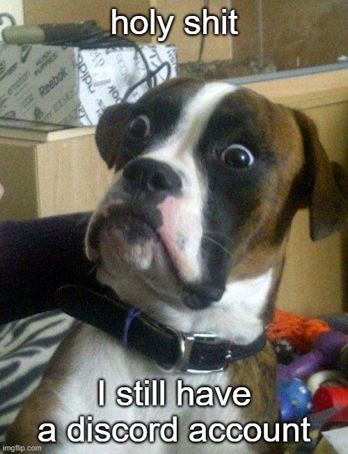 Its unverified tho | holy shit; I still have a discord account | image tagged in blankie the shocked dog | made w/ Imgflip meme maker