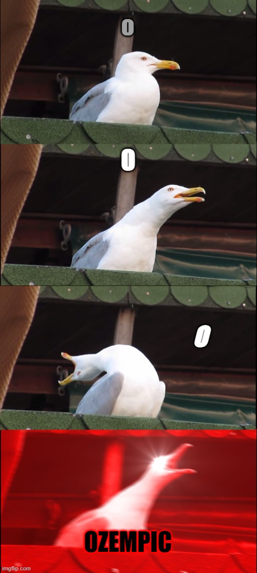 o o OO OZEMPIC | o; O; OZEMPIC | image tagged in memes,inhaling seagull | made w/ Imgflip meme maker
