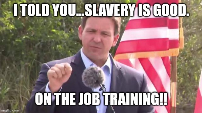 Florida Governor Ron DeSantis | I TOLD YOU...SLAVERY IS GOOD. ON THE JOB TRAINING!! | image tagged in florida governor ron desantis | made w/ Imgflip meme maker