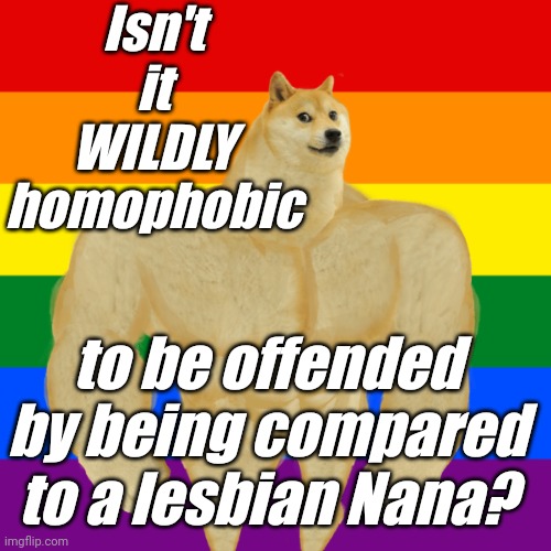 That lesbian cop is homophobic as hell. | Isn't it WILDLY homophobic; to be offended by being compared to a lesbian Nana? | image tagged in liberals,democrats,lgbtq,blm,antifa,bullies | made w/ Imgflip meme maker