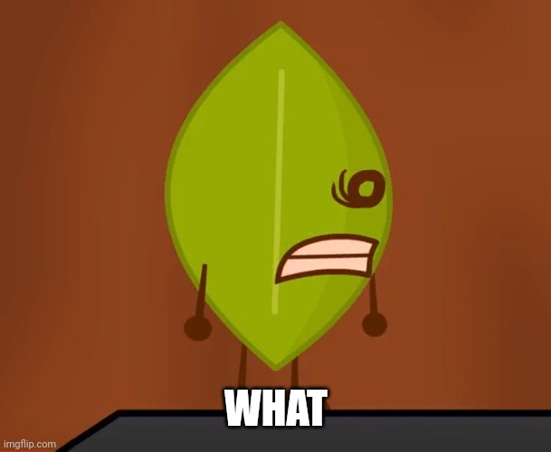 BFDI "Wat" Face | WHAT | image tagged in bfdi wat face | made w/ Imgflip meme maker