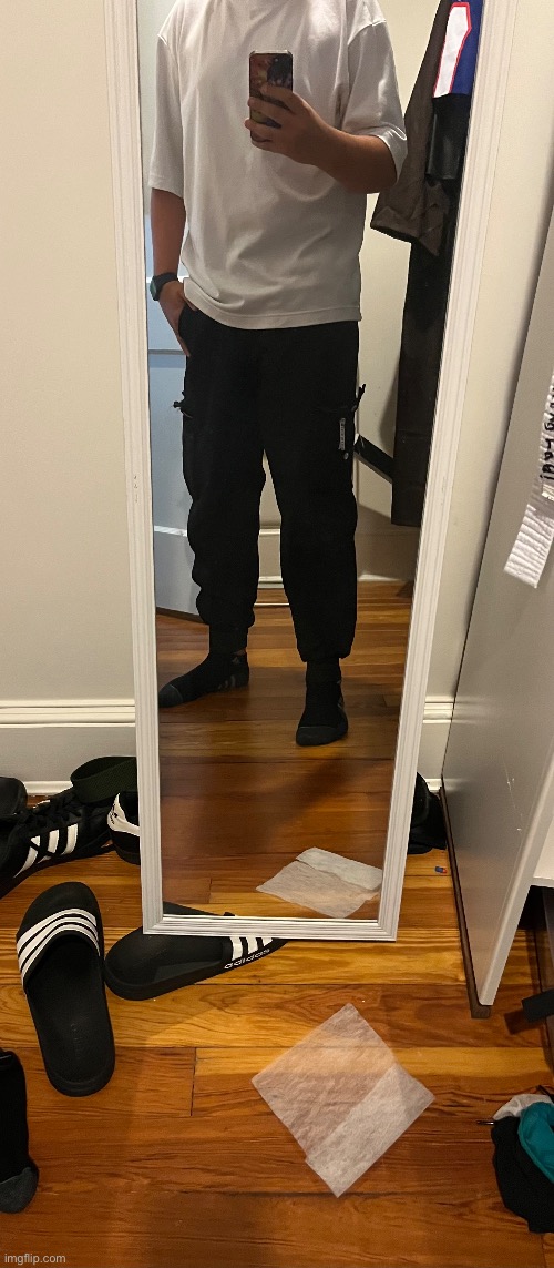 Fit check - Imgflip