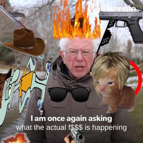 what the actual f$$$ is happening | image tagged in bernie i am once again asking for your support | made w/ Imgflip meme maker