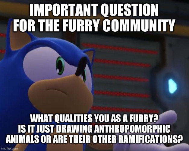 Important Questions | IMPORTANT QUESTION FOR THE FURRY COMMUNITY; WHAT QUALITIES YOU AS A FURRY? IS IT JUST DRAWING ANTHROPOMORPHIC ANIMALS OR ARE THEIR OTHER RAMIFICATIONS? | image tagged in important questions | made w/ Imgflip meme maker