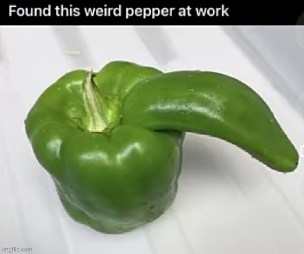 I know what it looks like but please don't suck the pepper | image tagged in pepper,green,uh oh,sus,work,food | made w/ Imgflip meme maker