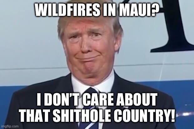 donald trump | WILDFIRES IN MAUI? I DON’T CARE ABOUT THAT SHITHOLE COUNTRY! | image tagged in donald trump | made w/ Imgflip meme maker