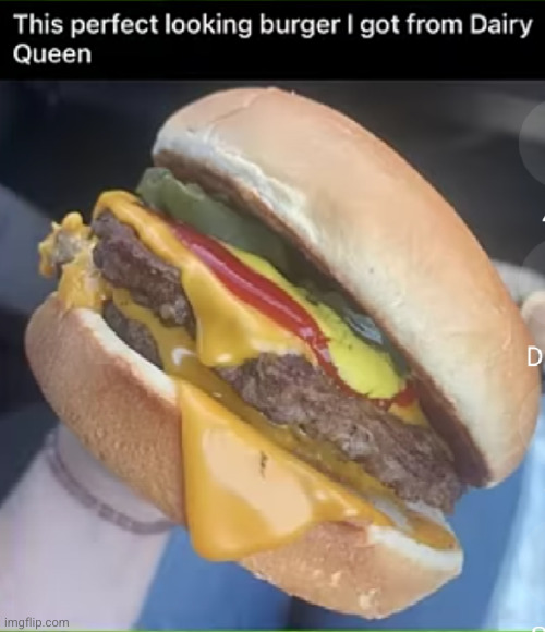 why can't McDonald's do this | image tagged in dairy queen,mcdonalds,burger,perfection,perfect,yum | made w/ Imgflip meme maker