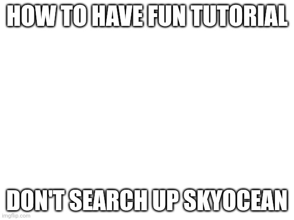 HOW TO HAVE FUN TUTORIAL; DON'T SEARCH UP SKYOCEAN | made w/ Imgflip meme maker