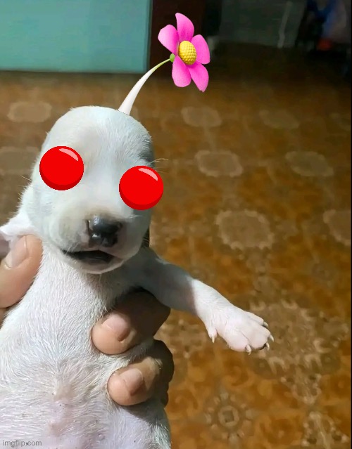 Olimar holding a white pikmin | made w/ Imgflip meme maker