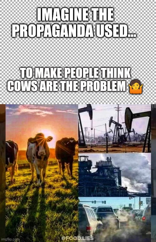 IMAGINE THE PROPAGANDA USED... TO MAKE PEOPLE THINK COWS ARE THE PROBLEM 🤷 | image tagged in free,cows don't cause climate change | made w/ Imgflip meme maker