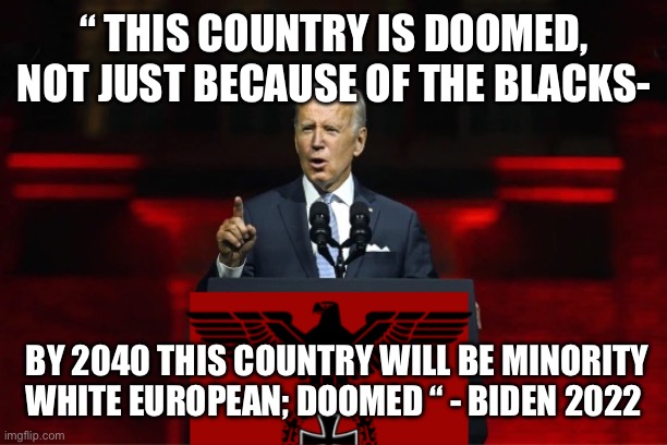 Joe has lost his sh:t | “ THIS COUNTRY IS DOOMED, NOT JUST BECAUSE OF THE BLACKS-; BY 2040 THIS COUNTRY WILL BE MINORITY WHITE EUROPEAN; DOOMED “ - BIDEN 2022 | image tagged in one party system,funny memes,memes,democrats | made w/ Imgflip meme maker
