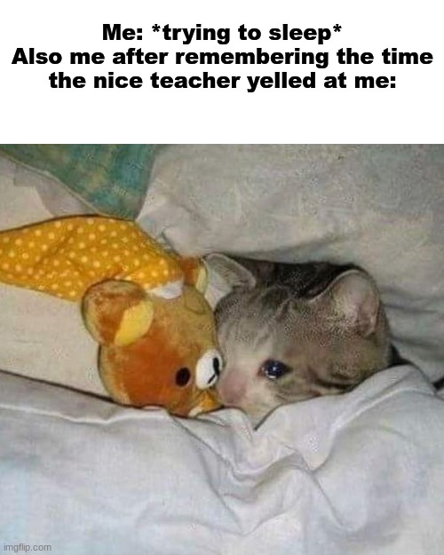 Crying cat | Me: *trying to sleep*
Also me after remembering the time the nice teacher yelled at me: | image tagged in crying cat | made w/ Imgflip meme maker