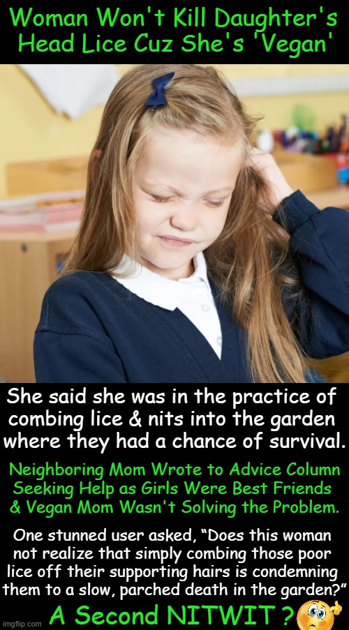 Head Scratcher | Woman Won't Kill Daughter's 
Head Lice Cuz She's 'Vegan'; She said she was in the practice of 
combing lice & nits into the garden 
where they had a chance of survival. Neighboring Mom Wrote to Advice Column
Seeking Help as Girls Were Best Friends 
& Vegan Mom Wasn't Solving the Problem. One stunned user asked, “Does this woman 
not realize that simply combing those poor 
lice off their supporting hairs is condemning 
them to a slow, parched death in the garden?”; A Second NITWIT ? | image tagged in dark humor,nits lice,scratch,vegan,veganism,imgflip humor | made w/ Imgflip meme maker