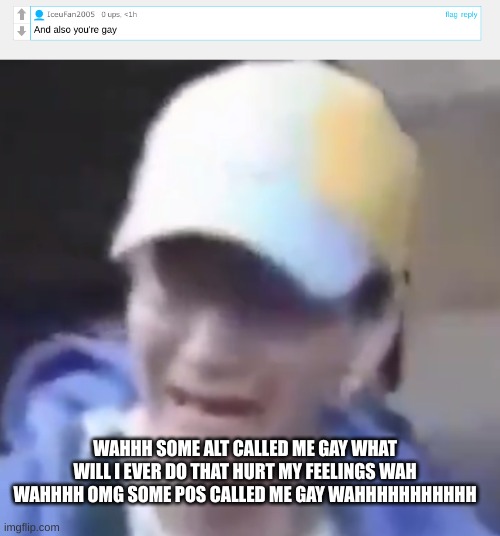 WAHHH SOME ALT CALLED ME GAY WHAT WILL I EVER DO THAT HURT MY FEELINGS WAH WAHHHH OMG SOME POS CALLED ME GAY WAHHHHHHHHHHH | image tagged in crybaby | made w/ Imgflip meme maker