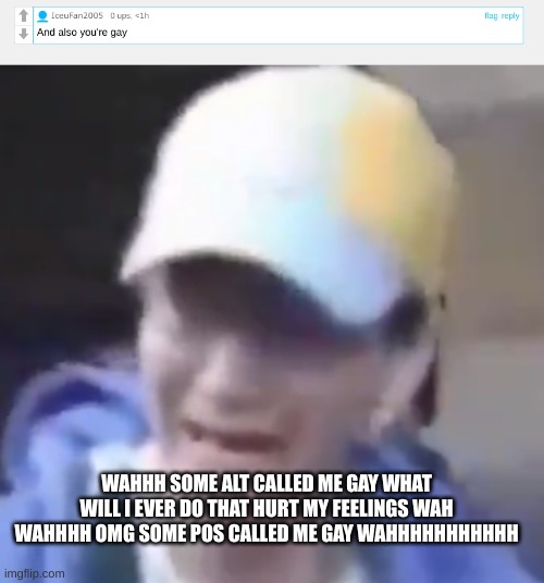 WAHHH SOME ALT CALLED ME GAY WHAT WILL I EVER DO THAT HURT MY FEELINGS WAH WAHHHH OMG SOME POS CALLED ME GAY WAHHHHHHHHHHH | image tagged in crybaby | made w/ Imgflip meme maker