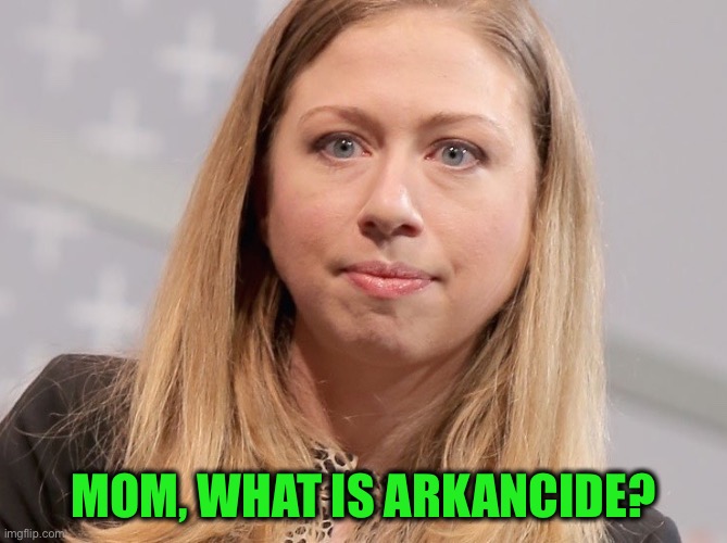 chelsea clinton webster hubble | MOM, WHAT IS ARKANCIDE? | image tagged in chelsea clinton webster hubble | made w/ Imgflip meme maker