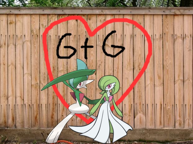 Another awesome Gallade x Gardevoir picture | image tagged in fence | made w/ Imgflip meme maker