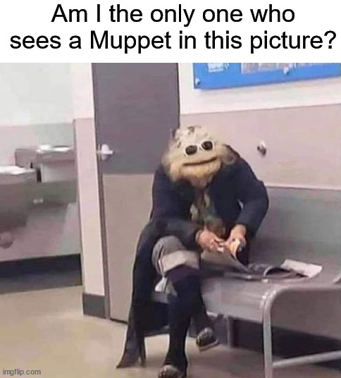 Hmmmm | Am I the only one who sees a Muppet in this picture? | image tagged in memes,funny,true story,relatable memes,muppets,hmmm | made w/ Imgflip meme maker