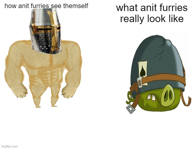 hehe hoho. | how anit furries see themself; what anit furries really look like | image tagged in memes,buff doge vs cheems | made w/ Imgflip meme maker