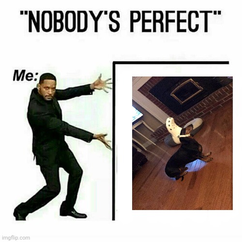 Shoe dog is perfect | image tagged in will smith nobody s perfect template | made w/ Imgflip meme maker
