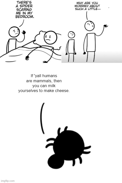 No, I am not mentally well | If 'yall humans are mammals, then you can milk yourselves to make cheese. | image tagged in spider in my bedroom,shower thoughts,spider,milk,cheese | made w/ Imgflip meme maker