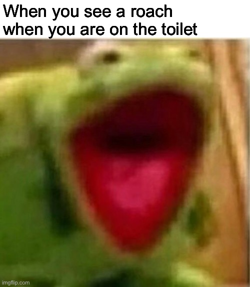 I'm on the toilet | When you see a roach when you are on the toilet | image tagged in pie charts,ahhhhhhhhhhhhh,memes,funny,funny memes,random tag i decided to put | made w/ Imgflip meme maker