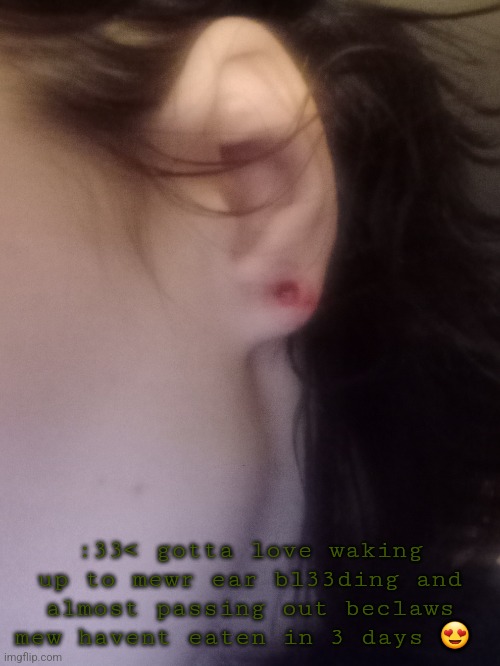 murdick piccals | :33< gotta love waking up to mewr ear bl33ding and almost passing out beclaws mew havent eaten in 3 days 😍 | made w/ Imgflip meme maker