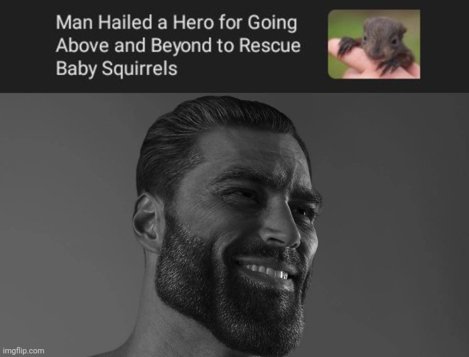 Rescuing baby squirrels | image tagged in gigachad,squirrels,squirrel,hero,rescued,memes | made w/ Imgflip meme maker