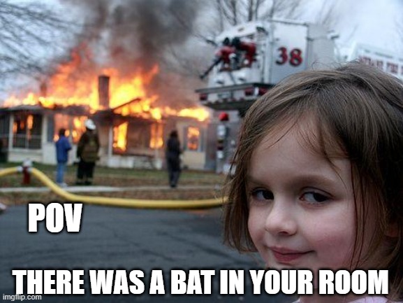 disaster girl meme | POV; THERE WAS A BAT IN YOUR ROOM | image tagged in memes,disaster girl | made w/ Imgflip meme maker