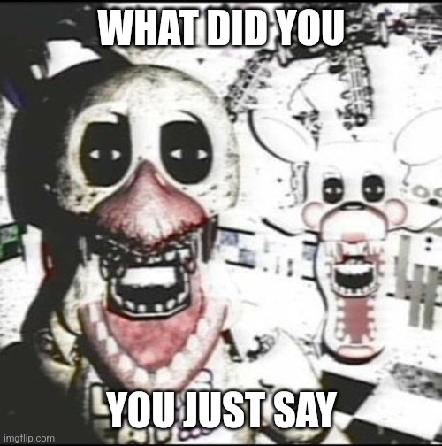 Withered chica and mangle ?️??️ | WHAT DID YOU YOU JUST SAY | image tagged in withered chica and mangle | made w/ Imgflip meme maker