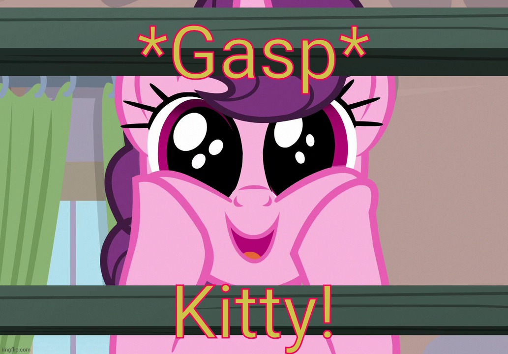 Surprised Sugar Belle (MLP) | *Gasp* Kitty! | image tagged in surprised sugar belle mlp | made w/ Imgflip meme maker