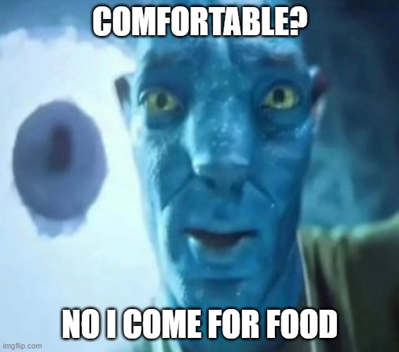 I eat nom nom | COMFORTABLE? NO I COME FOR FOOD | image tagged in avatar guy | made w/ Imgflip meme maker