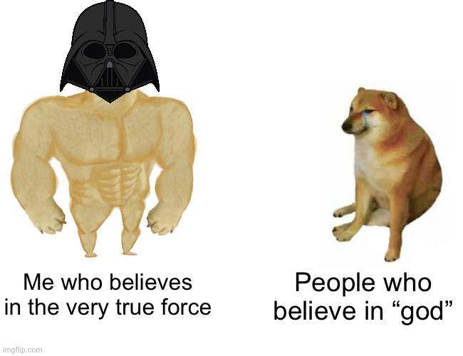 Buff Doge vs. Cheems | Me who believes in the very true force; People who believe in “god” | image tagged in memes,buff doge vs cheems | made w/ Imgflip meme maker