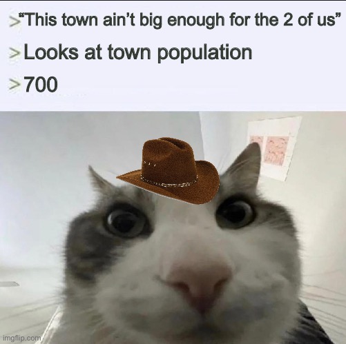 Howdy partner | “This town ain’t big enough for the 2 of us”; Looks at town population; 700 | image tagged in cat looks inside | made w/ Imgflip meme maker